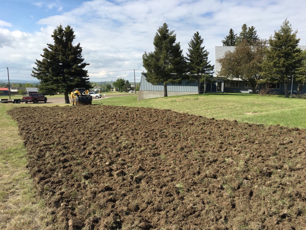 Newly tilled and ready to amend and plant.