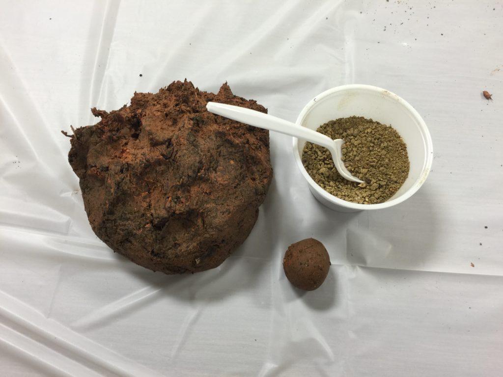 Seed bombs consist of a air dry clay mix and compost mixed with seeds (the compost was made by a local gardener and the seeds donated by Bette Miller).
