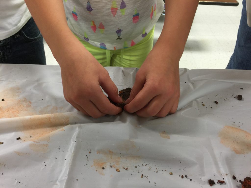 The kids take some compost clay mixture and flatten it out.